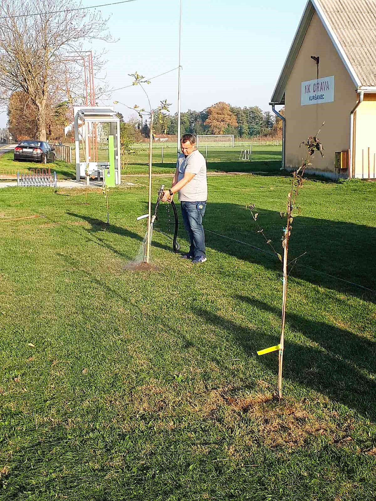 BRAVO, MEĐIMURCI U akciji sadnje drveća na širem čakovečkom području posađeno stotine novih stabala BRAVO, MEĐIMURCI U akciji sadnje drveća na širem čakovečkom području posađeno stotine novih stabala