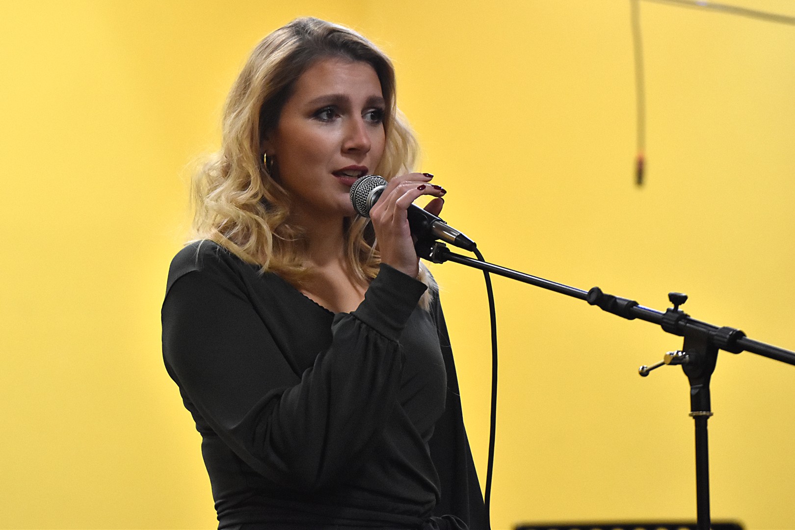‘Večer Žgančevih zapisa’ održana u Vratišincu