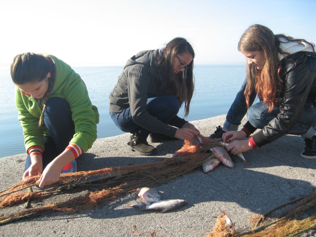 151112monitoring28690752