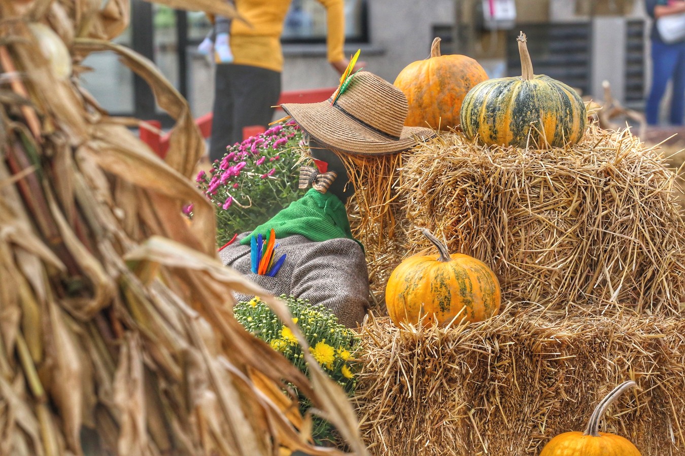 JESEN U GRADU ZRINSKIH Čakovec ‘obukao’ predivno jesensko ruho