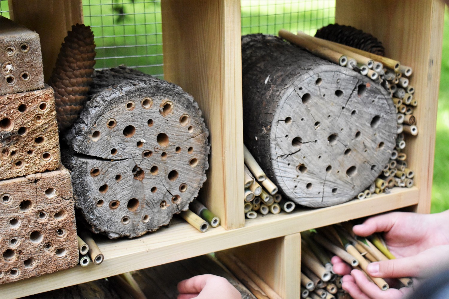 Postavljen hotel za kukce u Perivoju Zrinski u Čakovcu