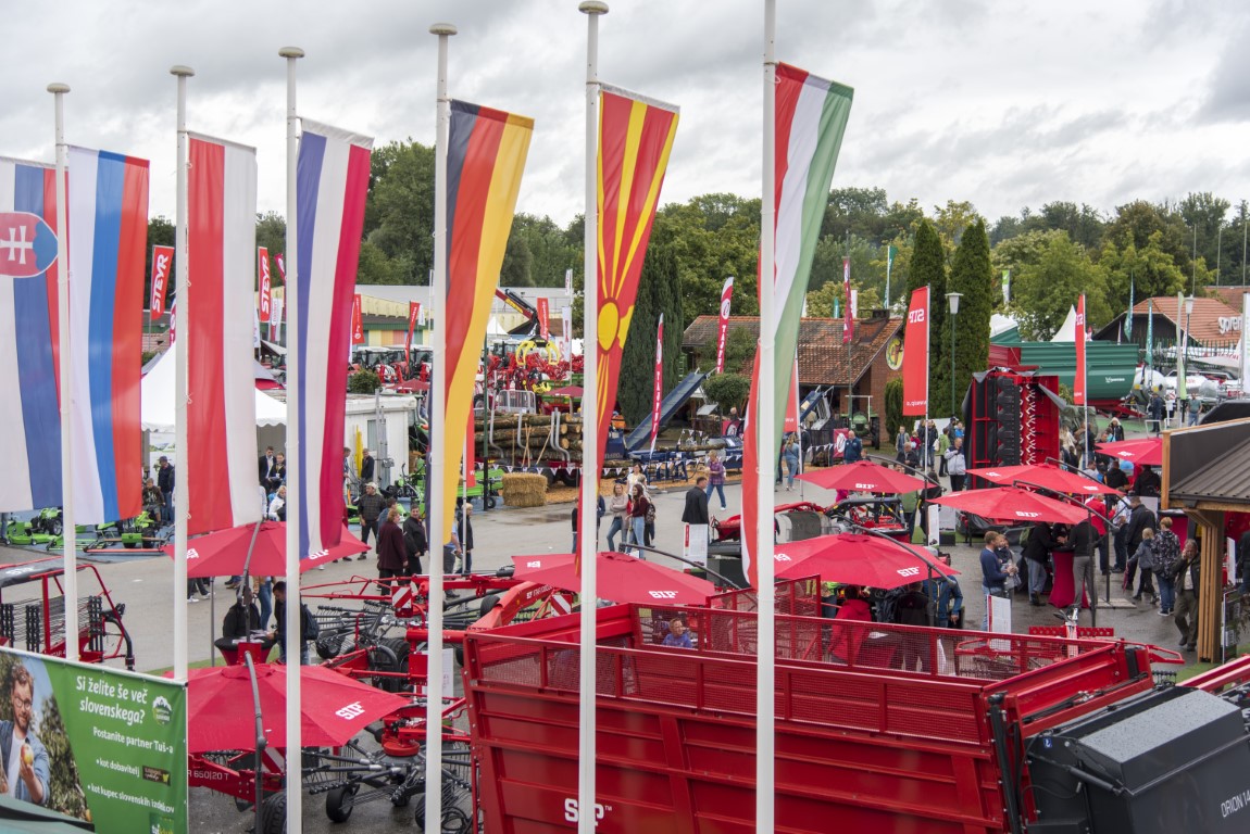 Image 5803659 (auto)