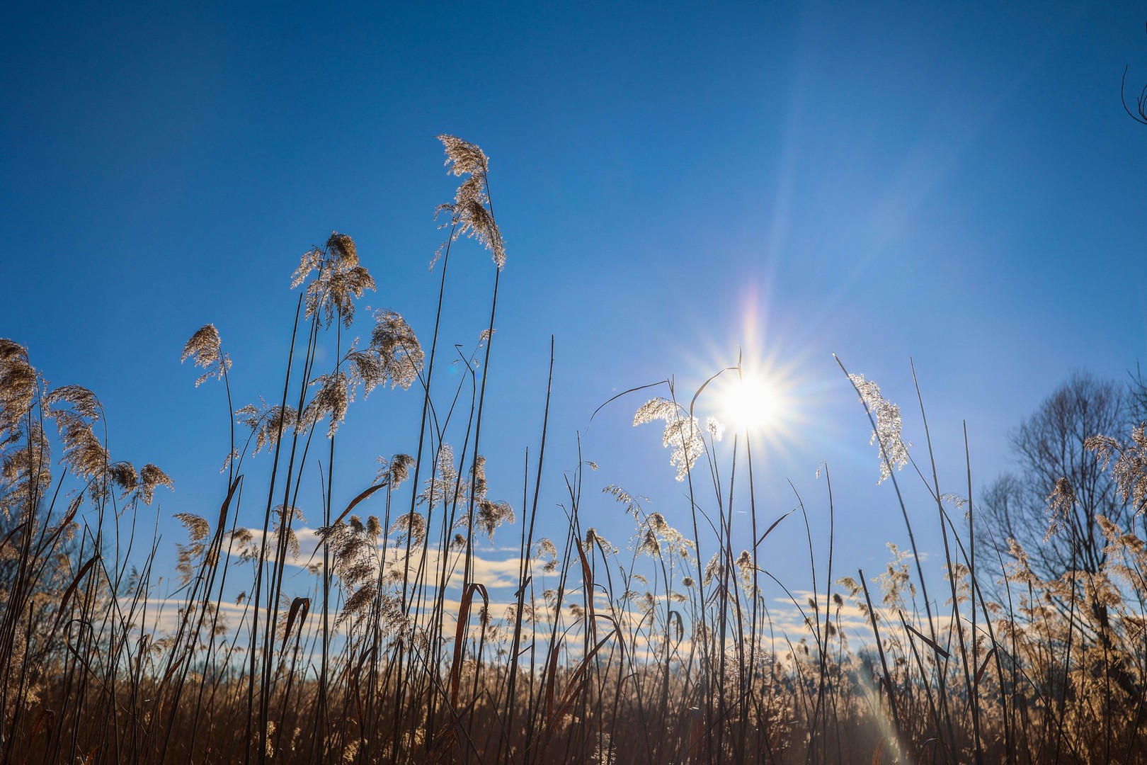 ZIMA NA MARINI Fotografije Miroslave Hranjec će vas oduševiti
