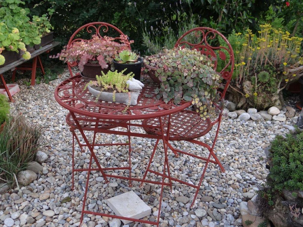 Biljno carstvo Vanje i Alena u Šenkovcu: Njihov vrt ‘Četiri godišnja doba’ mami poglede