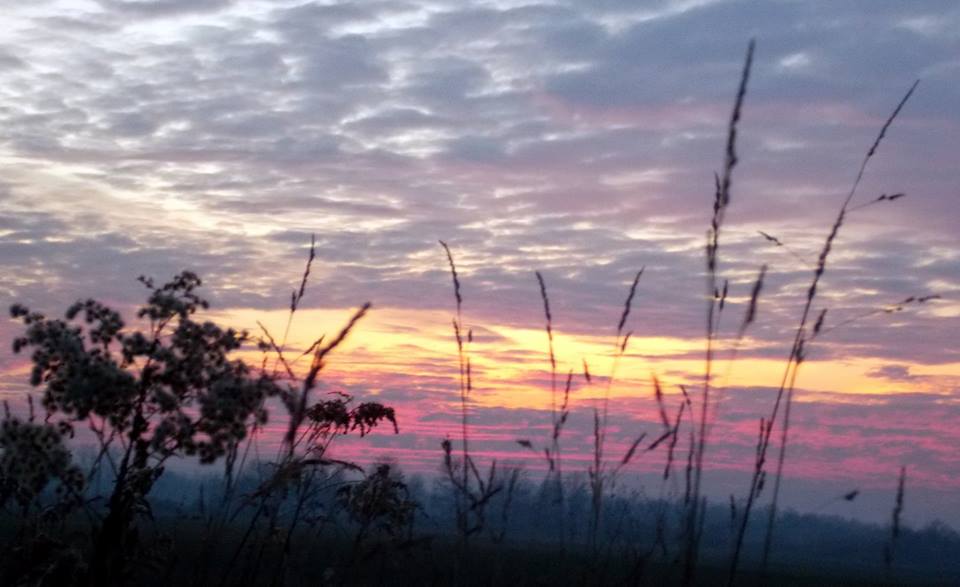 1250900016701975199098828725848