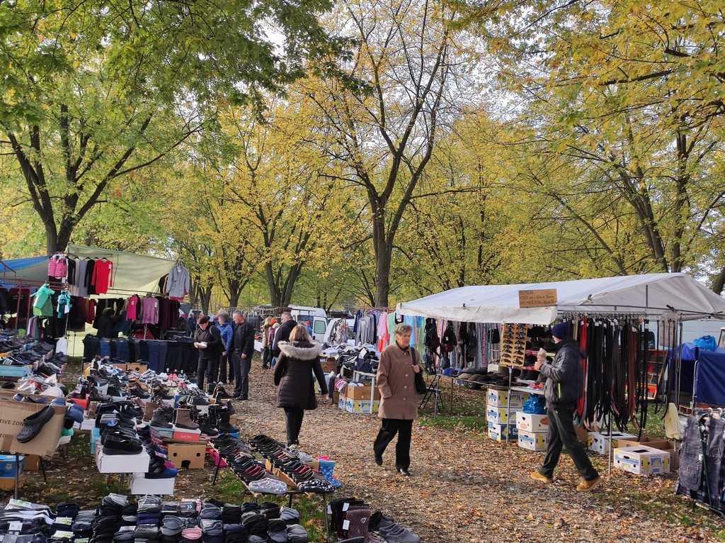 SAJAM SRIJEDOM Jeste li već probali meksički krastavac ili čajot?