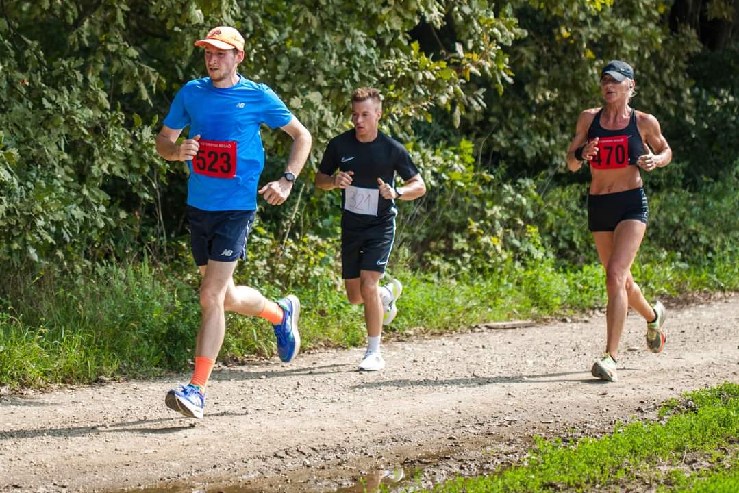 Image 5519230 (auto)