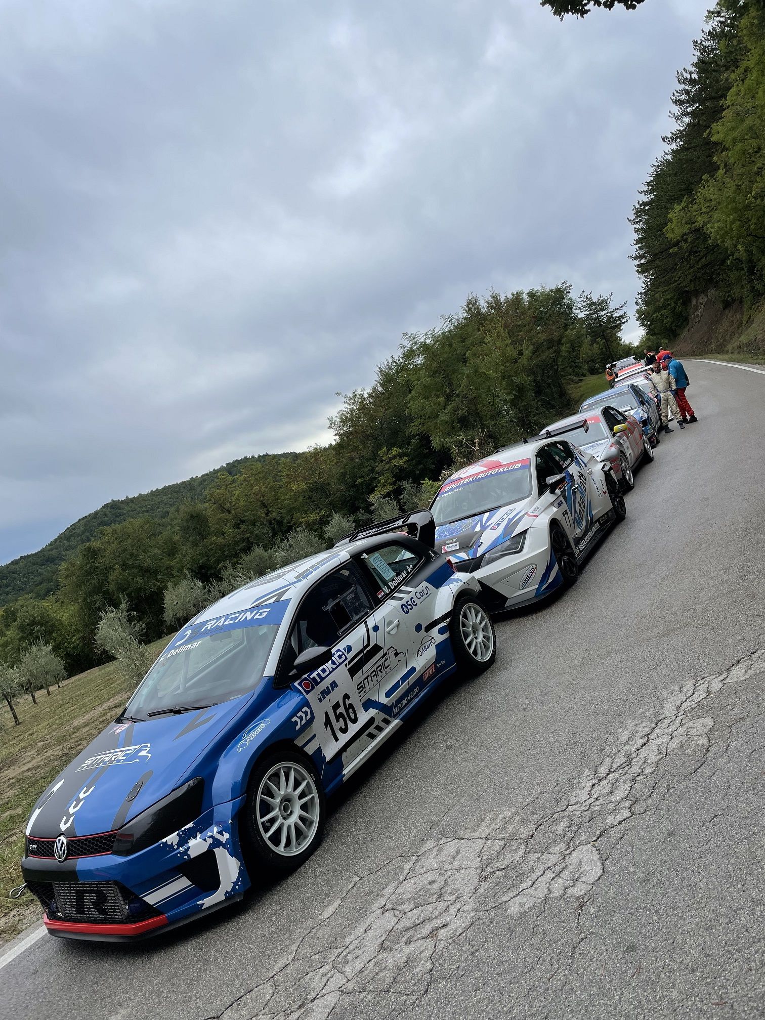 Vedran Delimar – Buzet