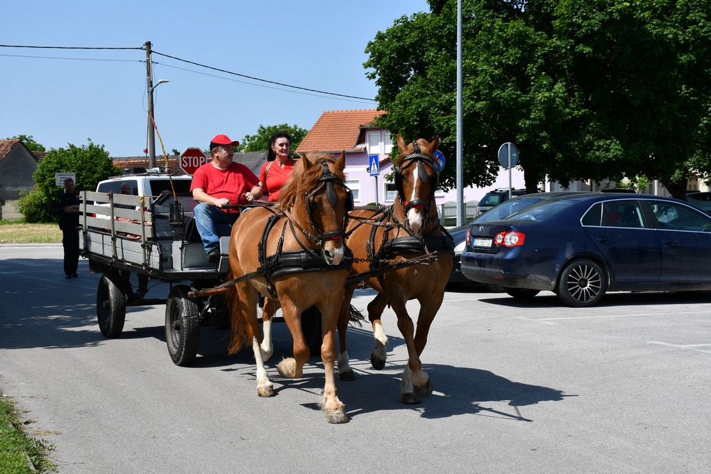 VIDEO I FOTO Međunarodno konjičko druženje okupilo brojne uzgajivače konja iz SZ Hrvatske te Slovenije i Austrije