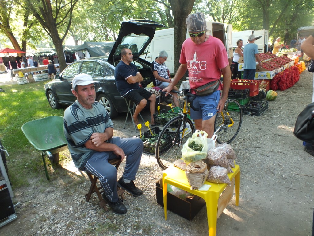 Image 5810855 (auto)