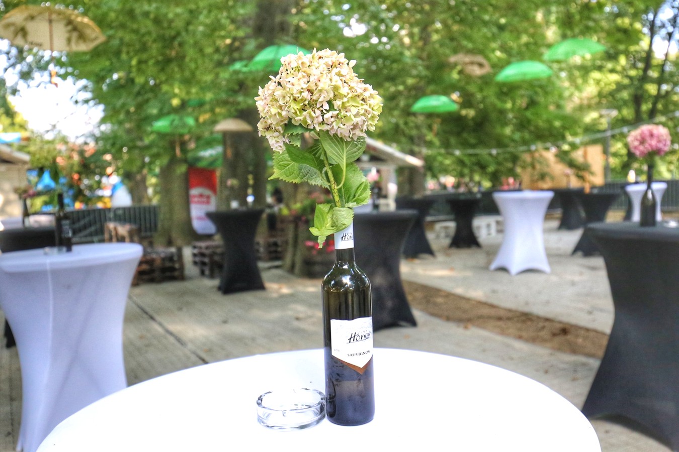 VinoGrad – neodoljiv svijet međimurskih vina na Porcijunkulovom