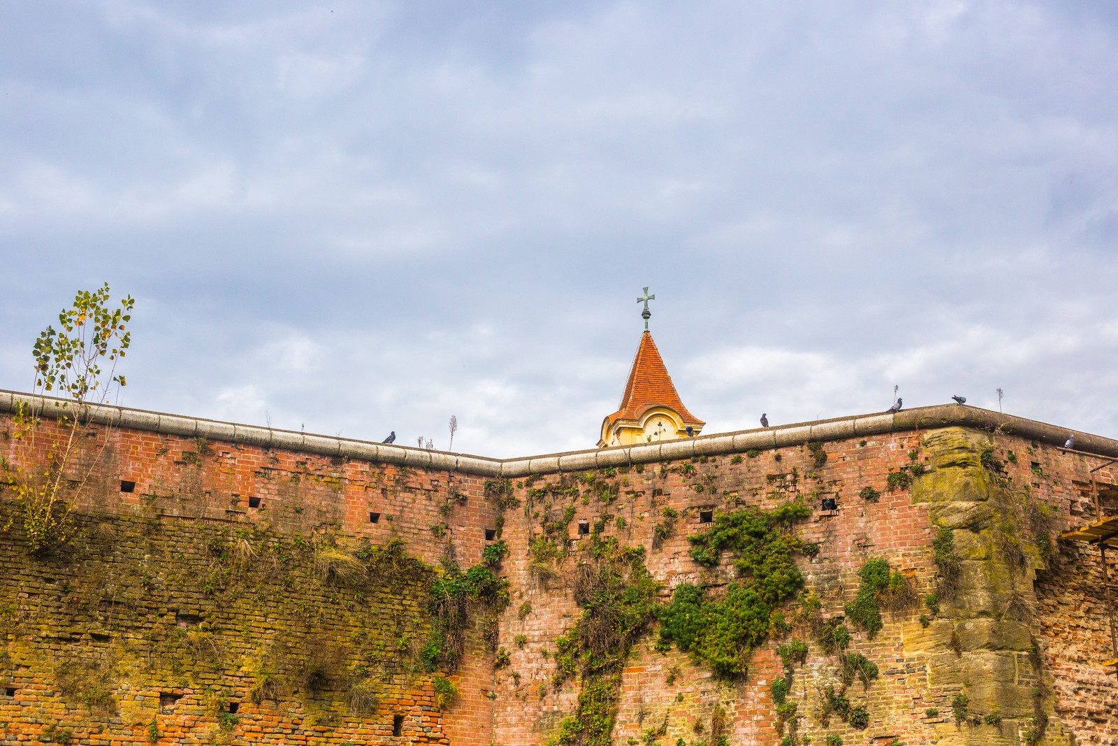 Čarobna jesen: Naša Miroslava Novak prošetala je čakovečkim parkom i snimila šarenilo jesenskih boja. Predivno, zar ne? (y) :-)