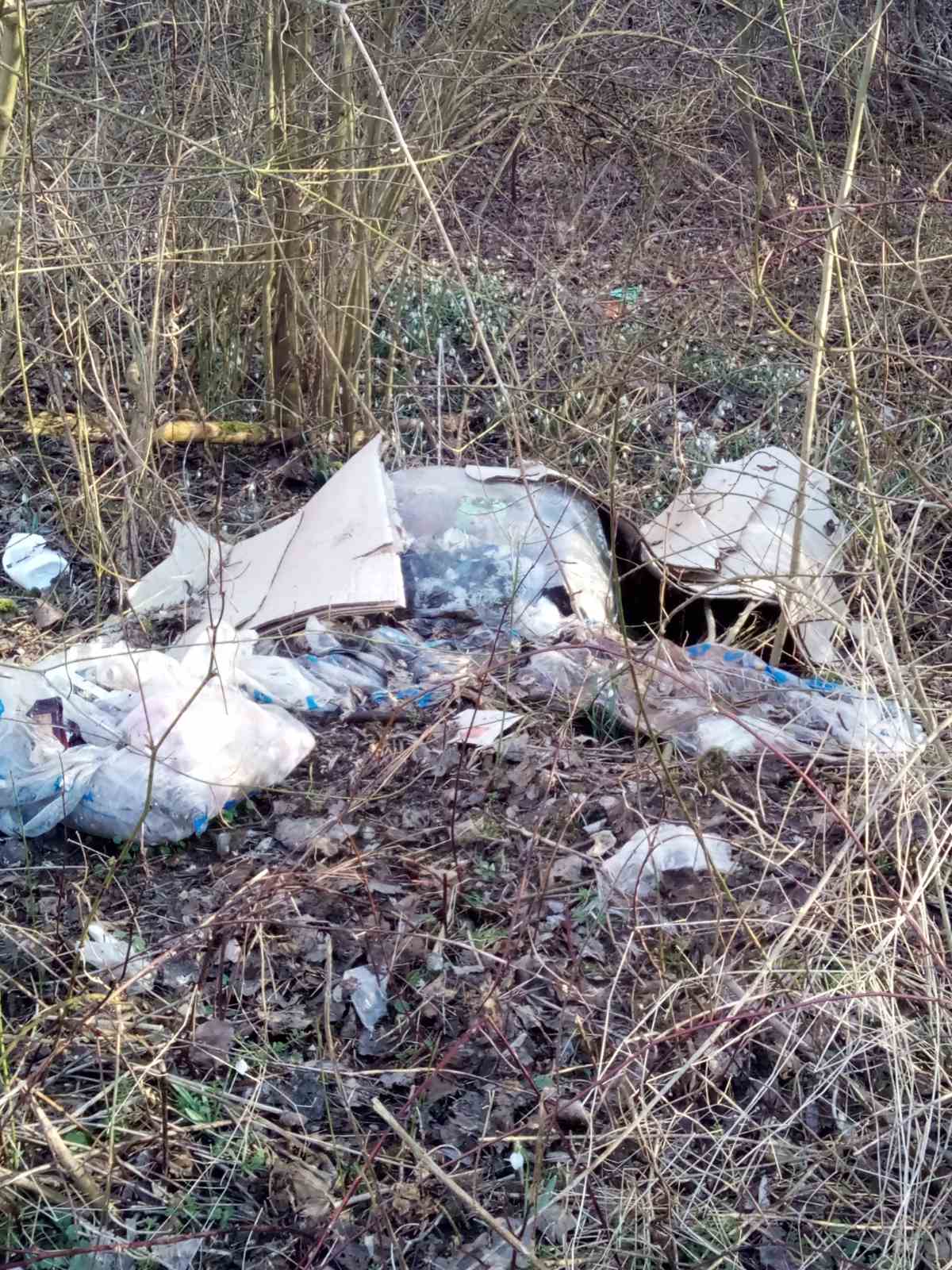 Hrpe smeća u šumi samo 50 metara od prvih kuća u Kotoribi