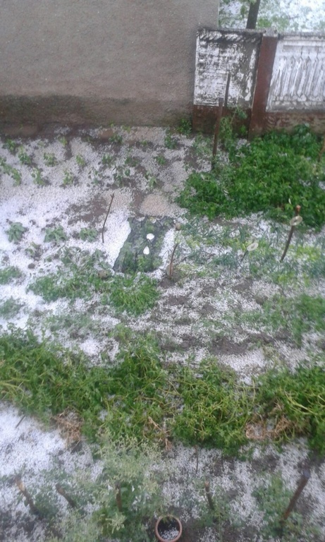 tucacirkovljan3759175605285