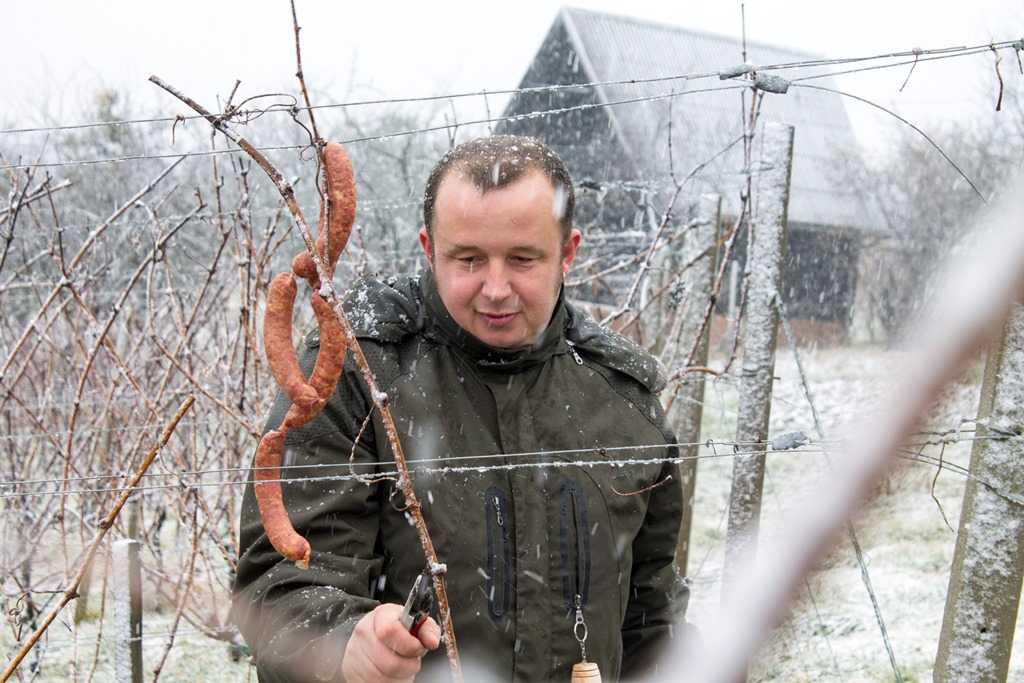 img8522vincekovo111644