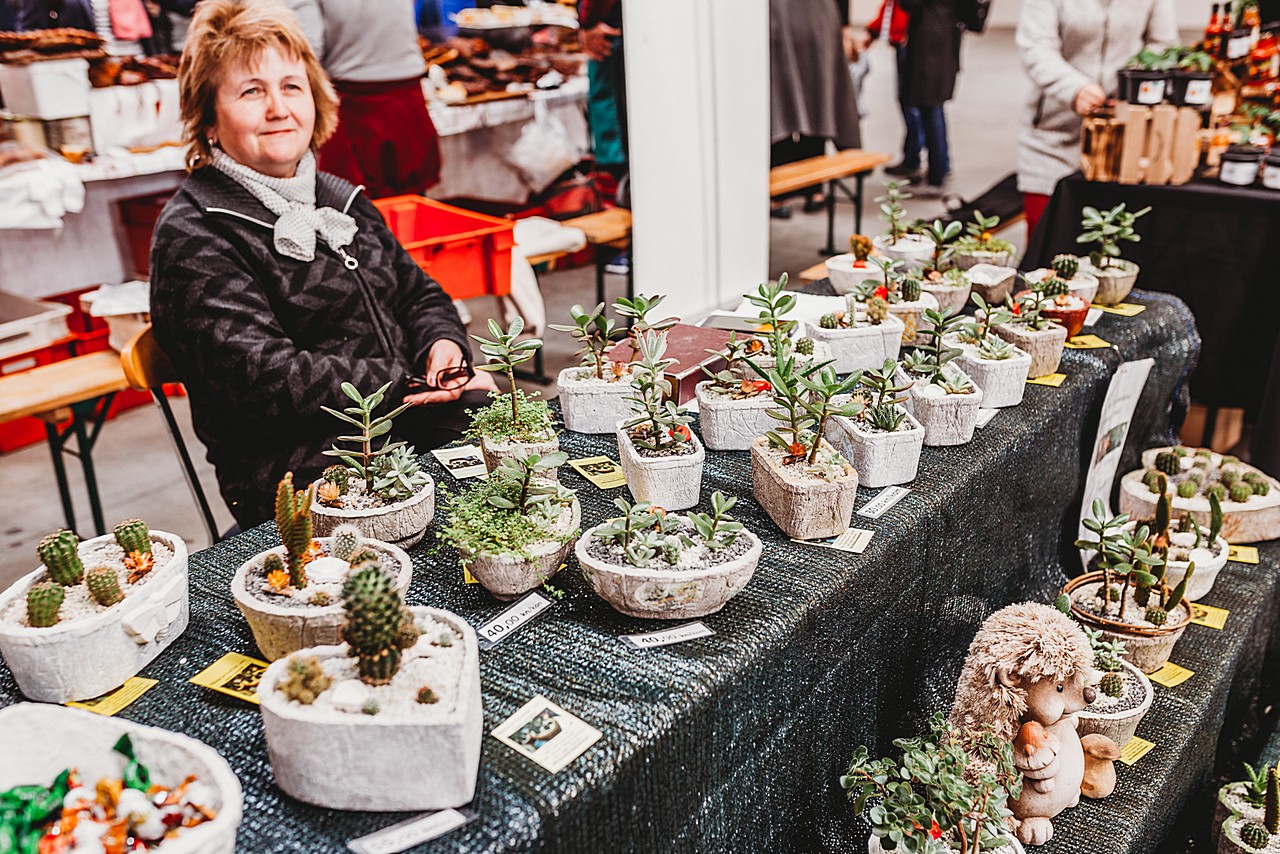 Prvi Regionalni plac na Mesapu u Nedelišću oduševio brojne posjetitelje
