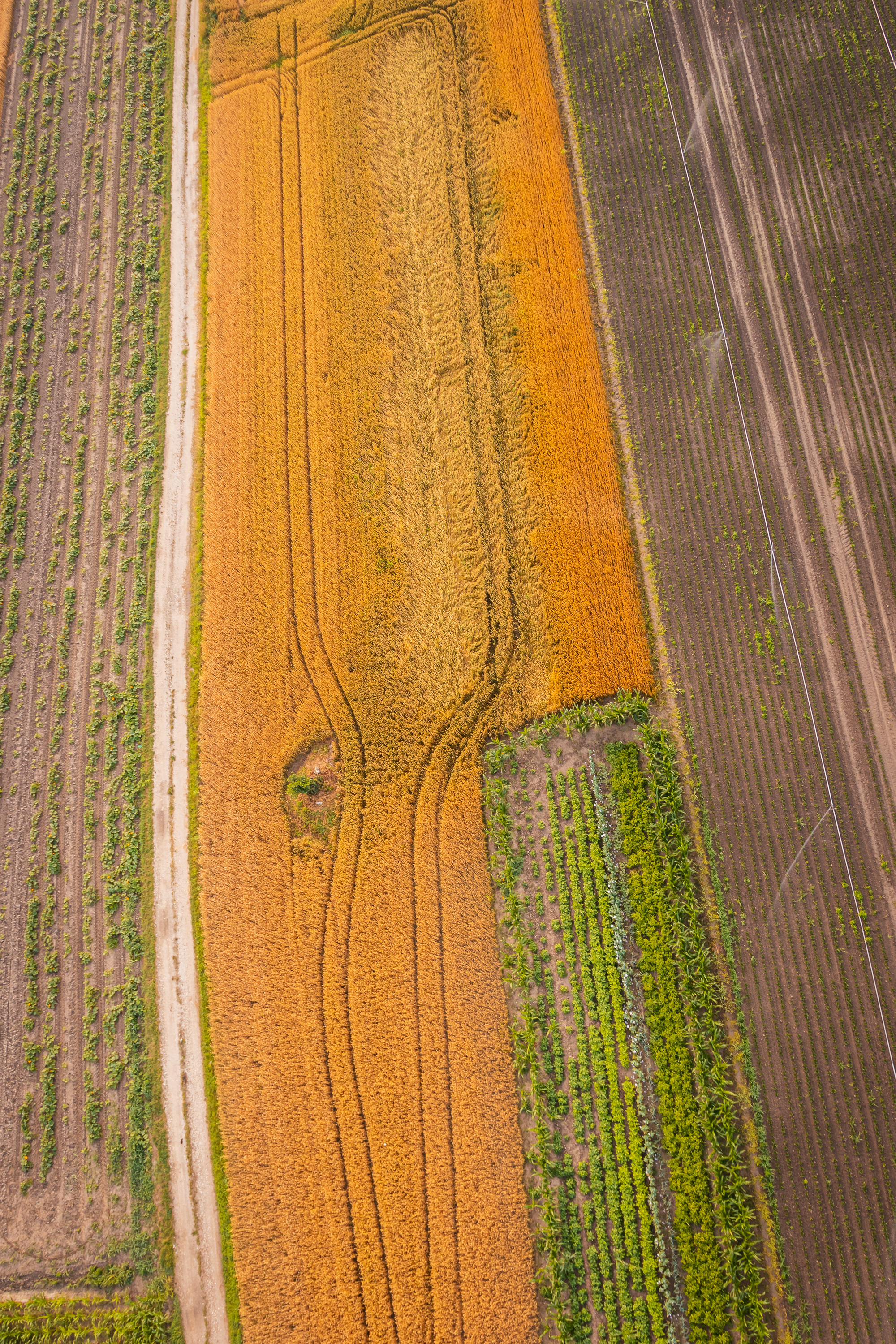 U Međimurje stižu spektakularni baloni na vrući zrak!