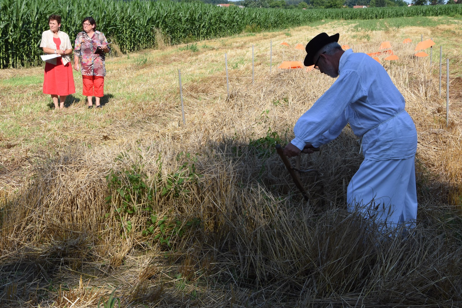 Mamičina žetva u Pušćinama