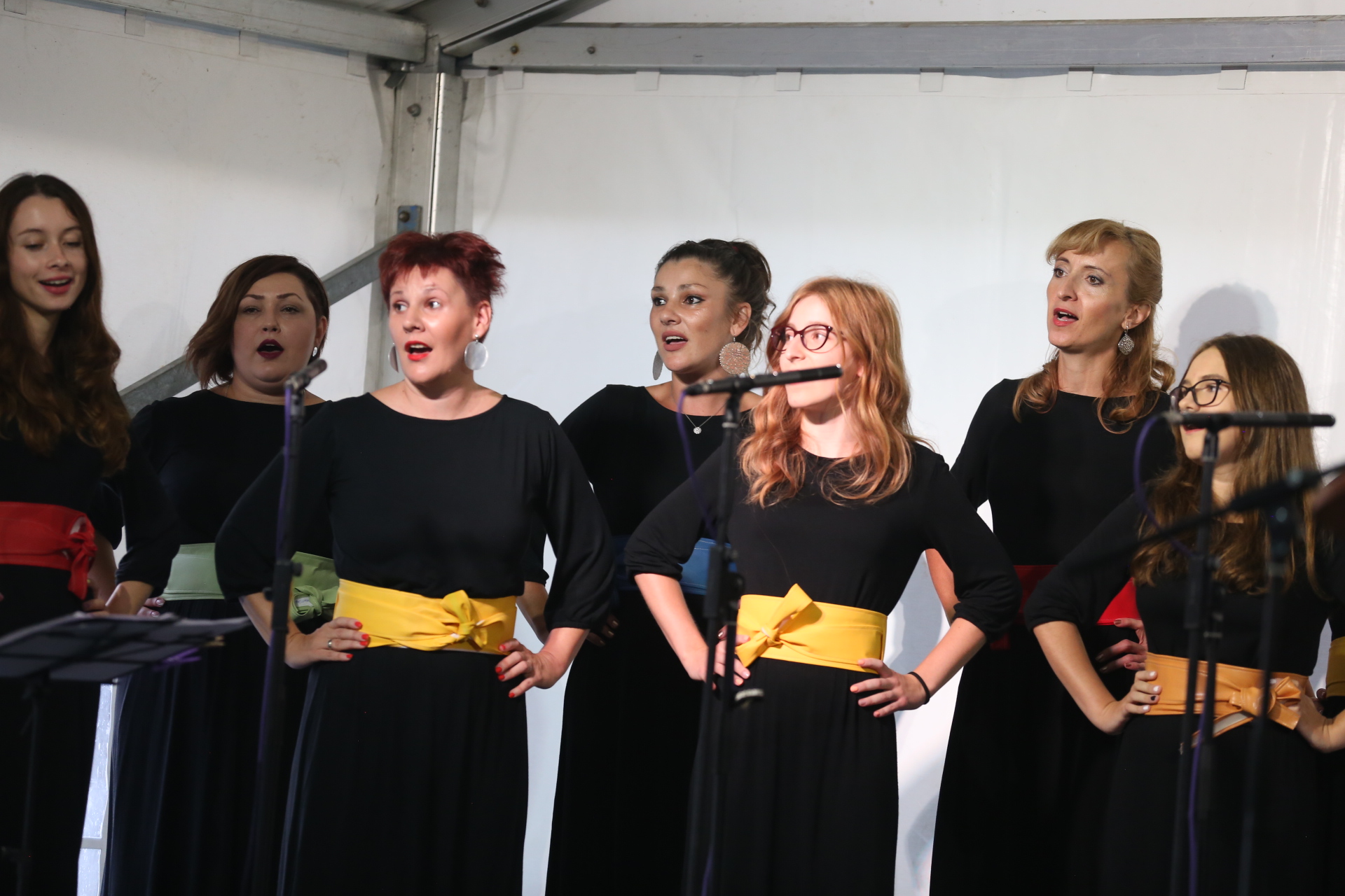 VELIKA FOTOGALERIJA Svečana sjednica uz Dan općine Pribislavec