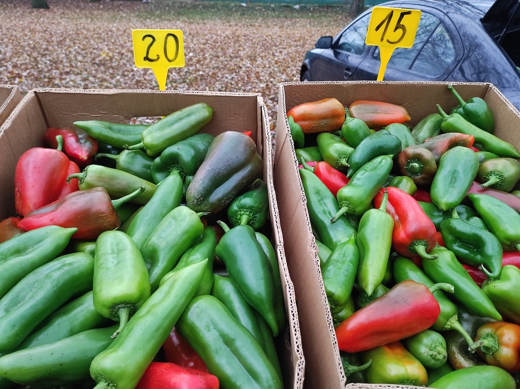 ČAKOVEČKI SAJAM Nema čega nema pa čak i – božićnih žaruljica!