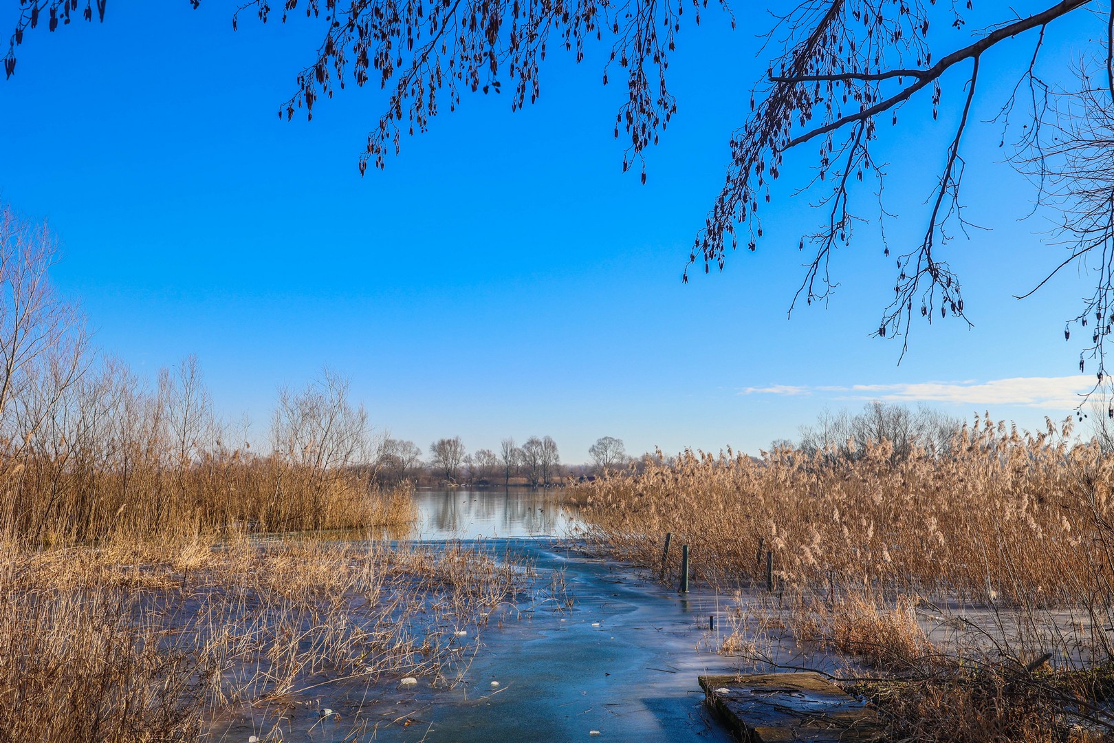 ZIMA NA MARINI Fotografije Miroslave Hranjec će vas oduševiti
