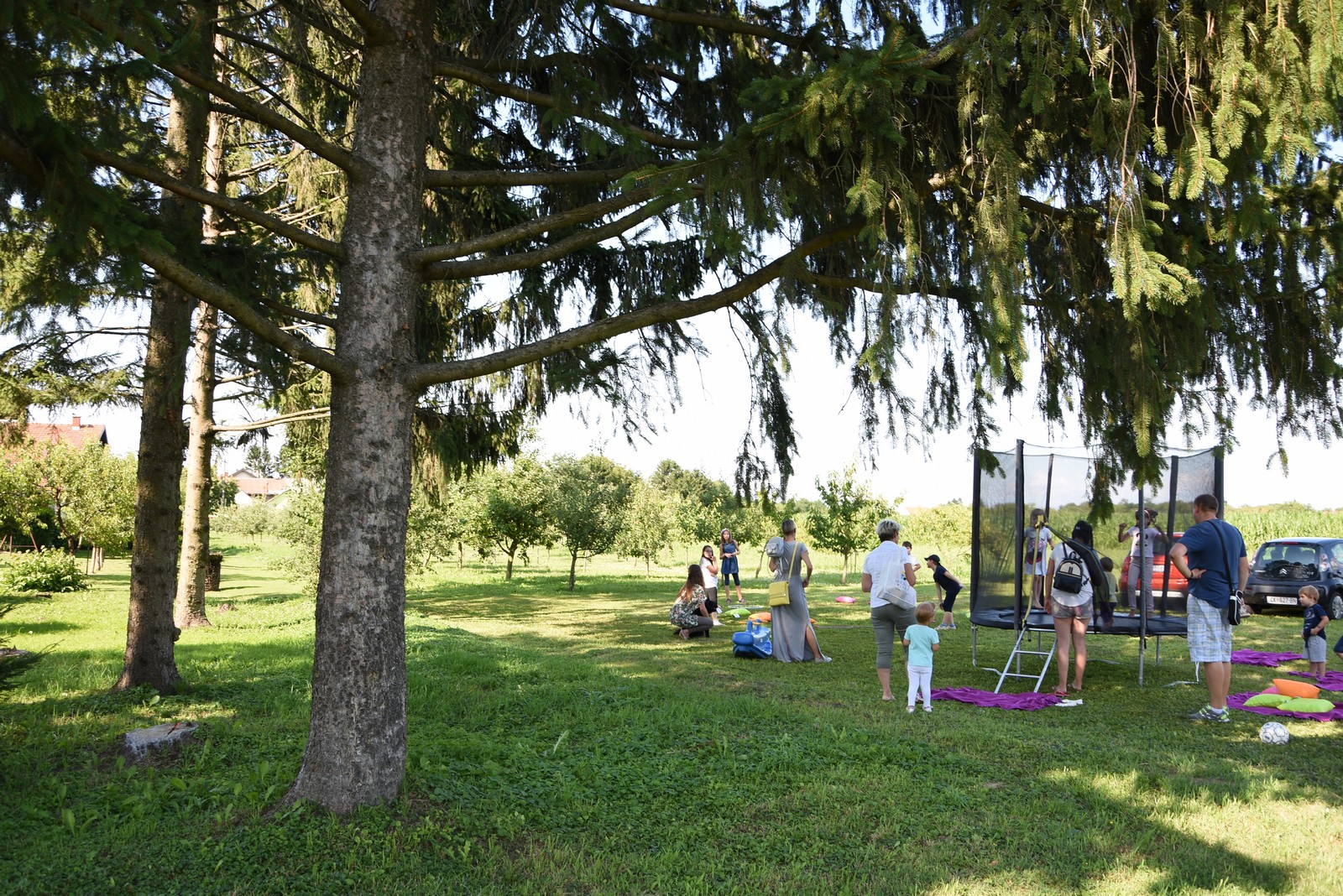 Mamičina žetva u Pušćinama