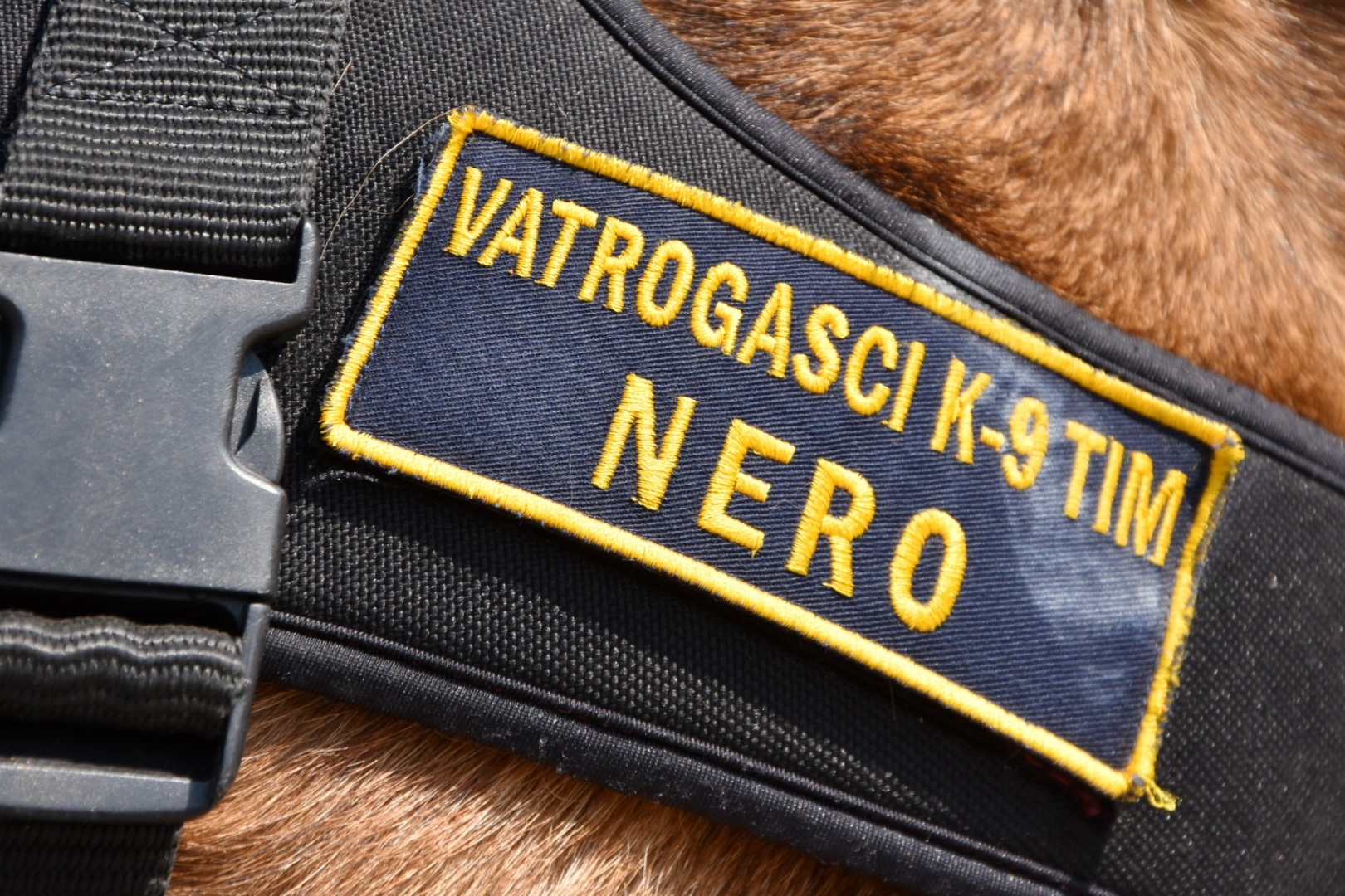 Svestrani međimurski vatrogasac Josip Sušec vodič je potražnog psa Nera!