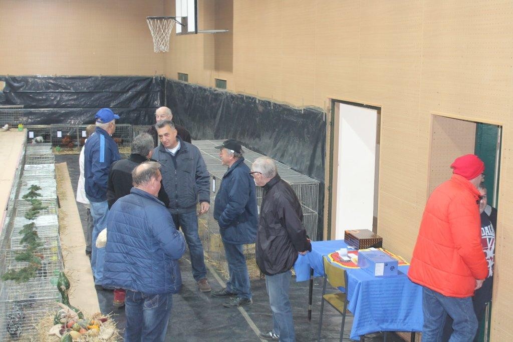 FOTO Održana izložba malih životinja u Kotoribi: Proglašeno čak 42 šampiona!