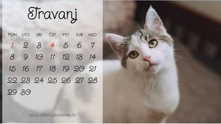 Mačko – kalendar