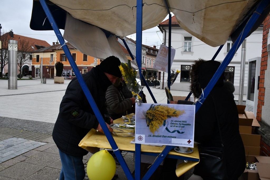 Dan mimoza u Čakovcu