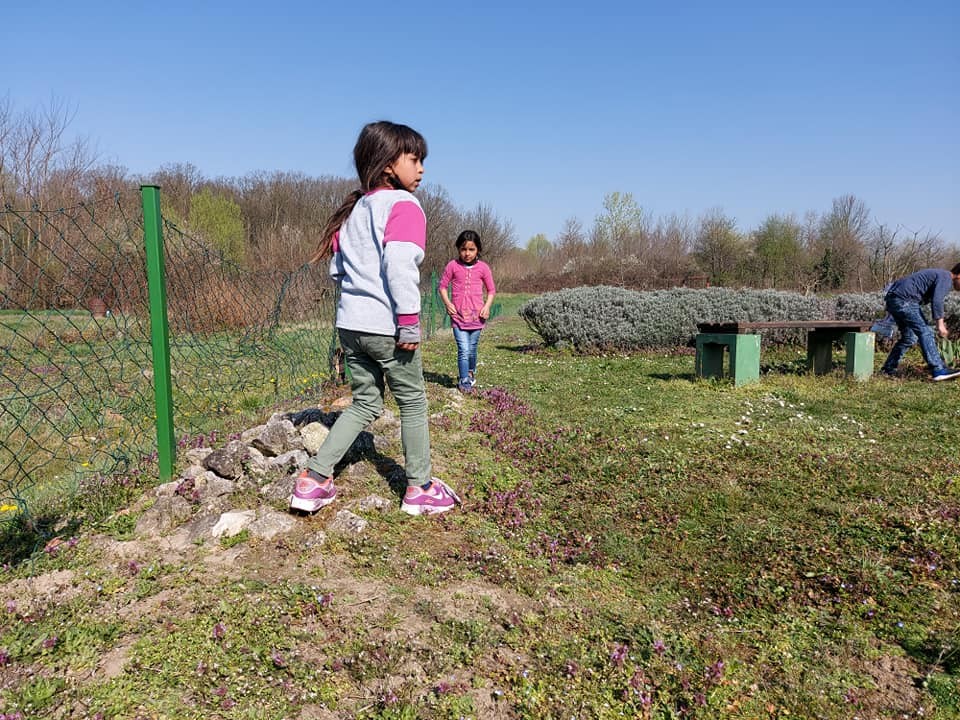 FOTO Područna škola Držimurec – Strelec: U dvorištu ih iznenadio zeko koji im je donio poklončiće za Uskrs FOTO Područna škola Držimurec – Strelec: U dvorištu ih iznenadio zeko koji im je donio poklončiće za Uskrs