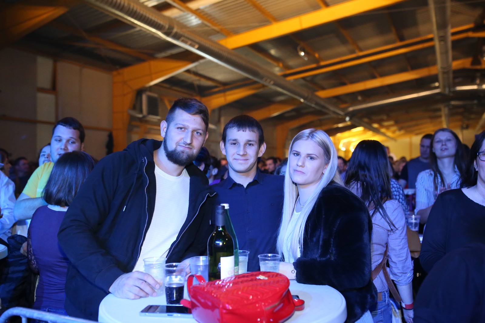 Lepa Brena, druga večer na Mesapu