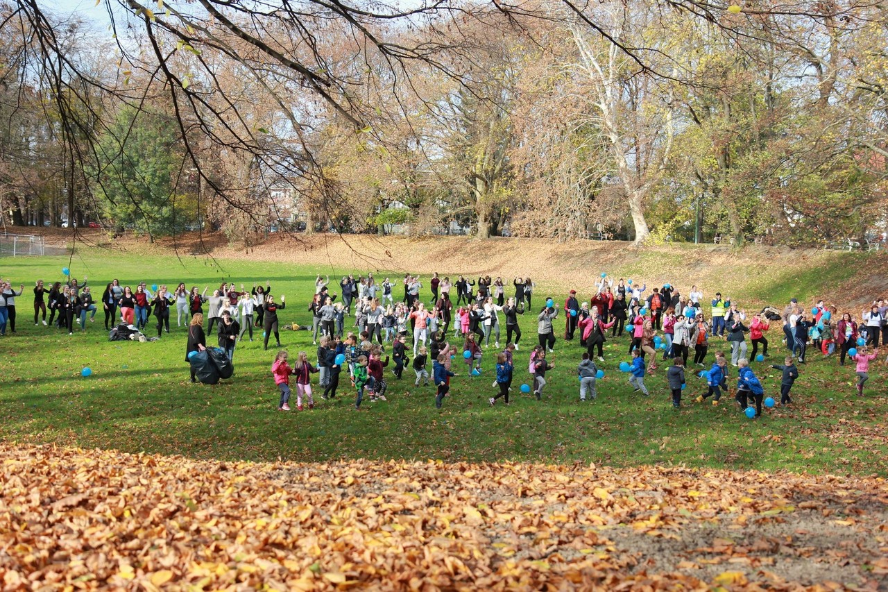 Volonteri u parku: U Čakovcu obilježen Svjetski dan šećerne bolesti