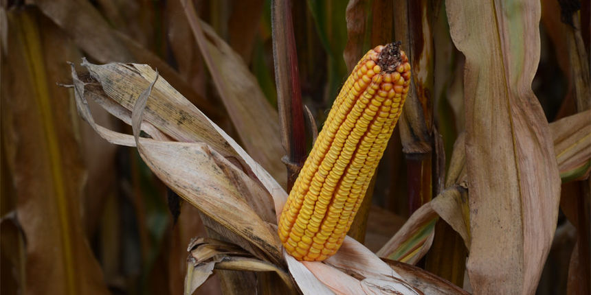 danipolja102014d443620478957157 danipolja102014d443620478957157