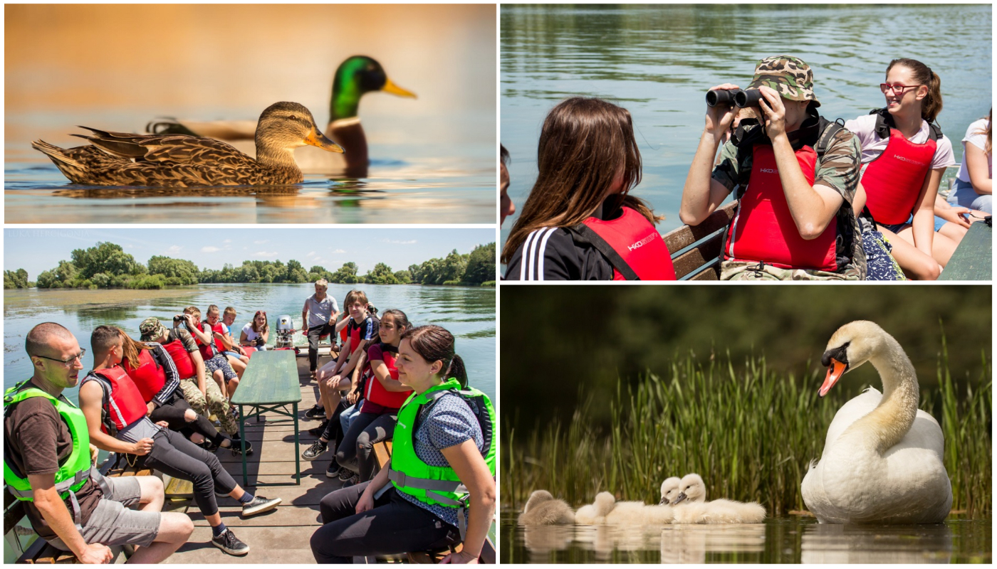 PRELOG Održana radionica o pticama našeg kraja