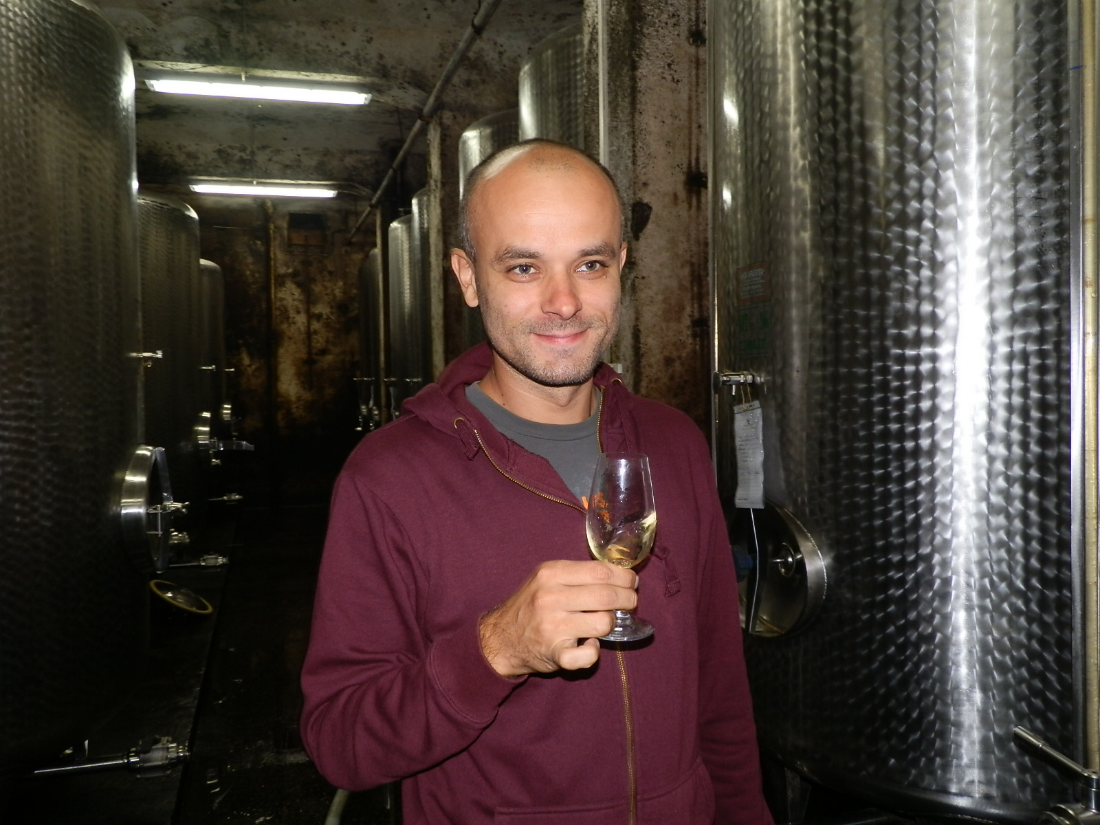 podrumstrigova5267523