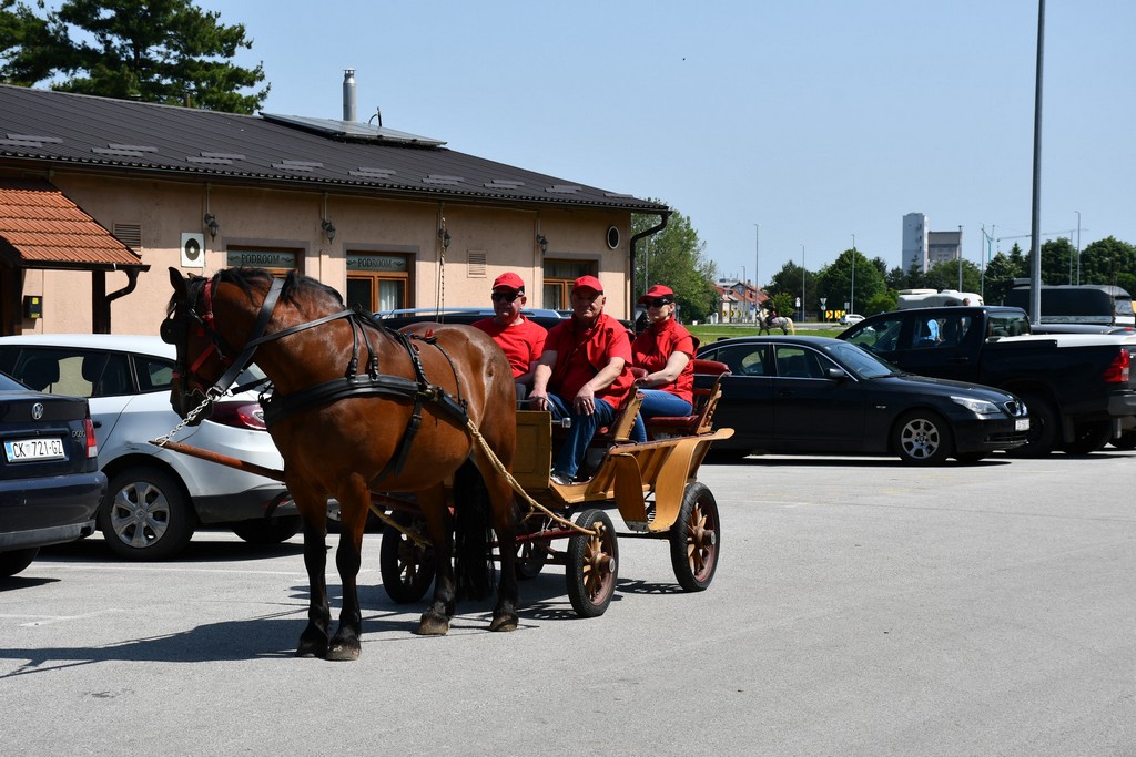 VIDEO I FOTO Međunarodno konjičko druženje okupilo brojne uzgajivače konja iz SZ Hrvatske te Slovenije i Austrije