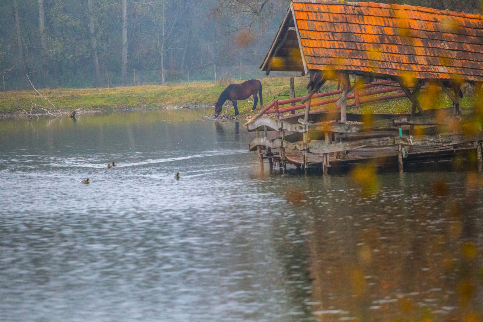Međimurje se predalo jeseni