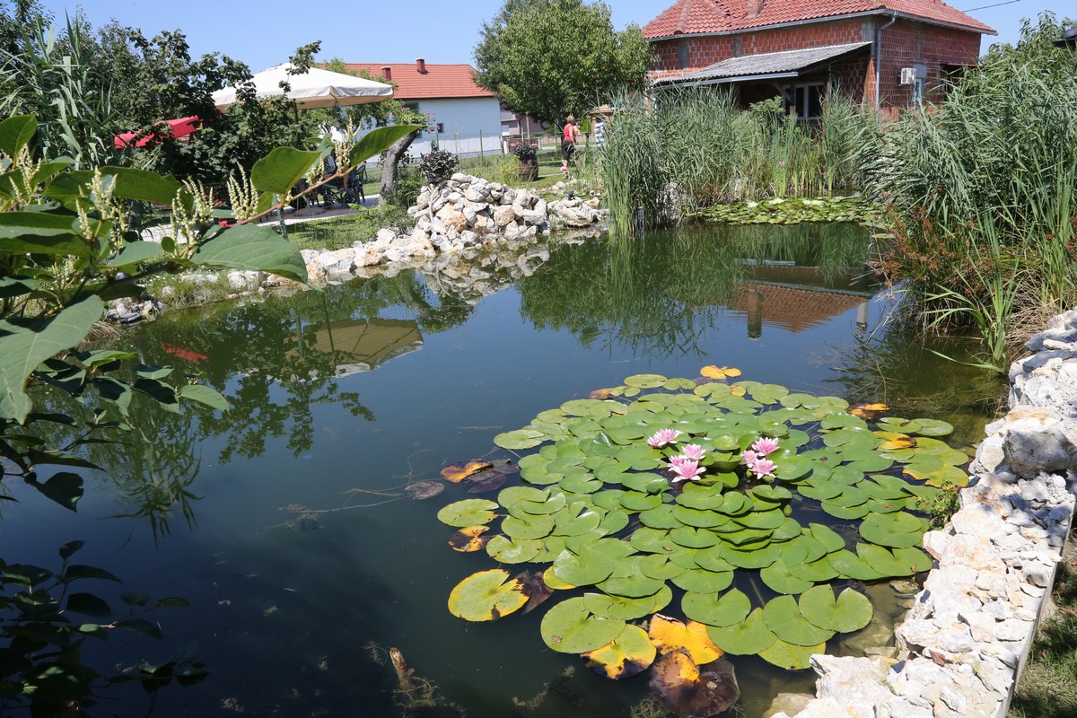 UKRAS MEĐIMURJA Čiji vrt je najljepši? Dodijeljena priznanja, evo tko je bio najkreativniji