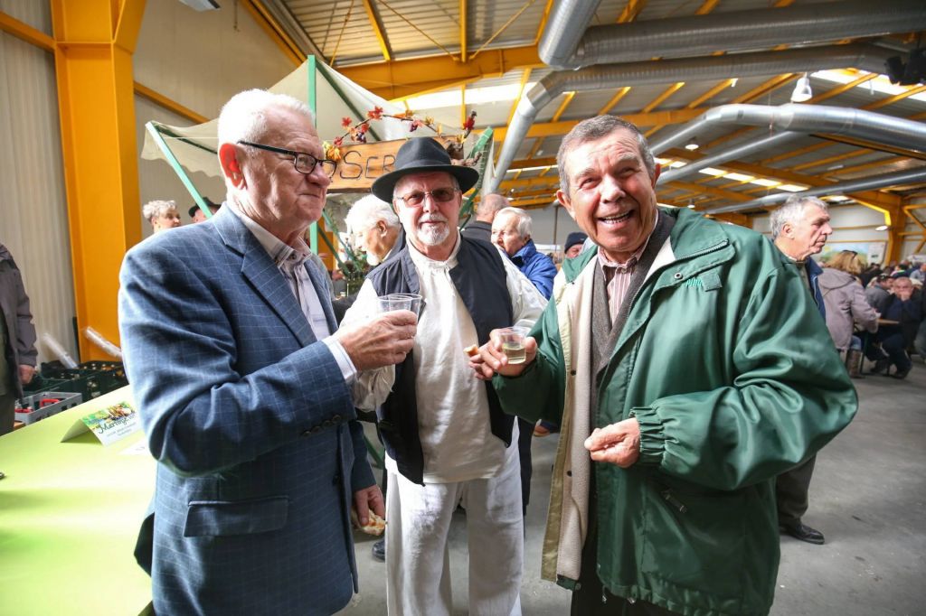 2354702010213458848562590878742