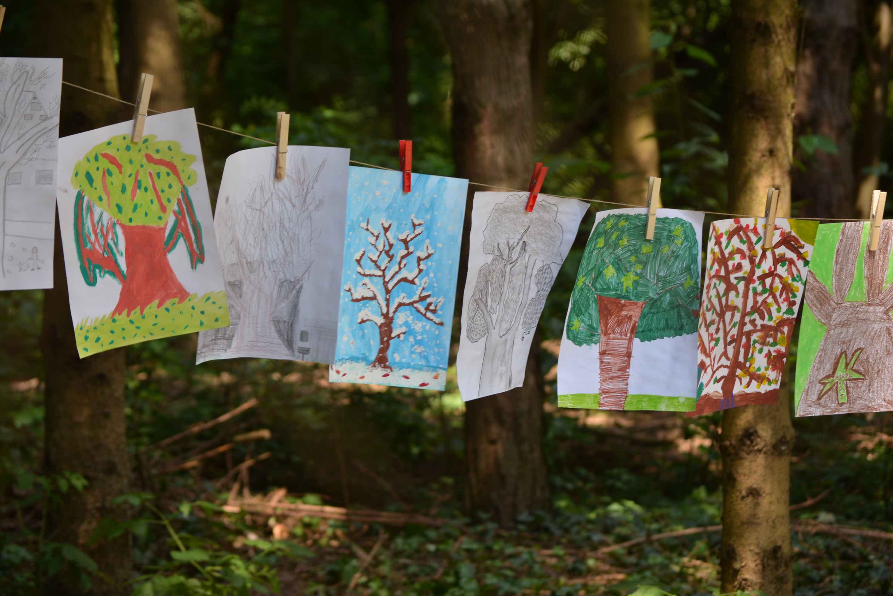 FOTO I VIDEO Predivna umjetnička idila na Art forestu u Nedelišću
