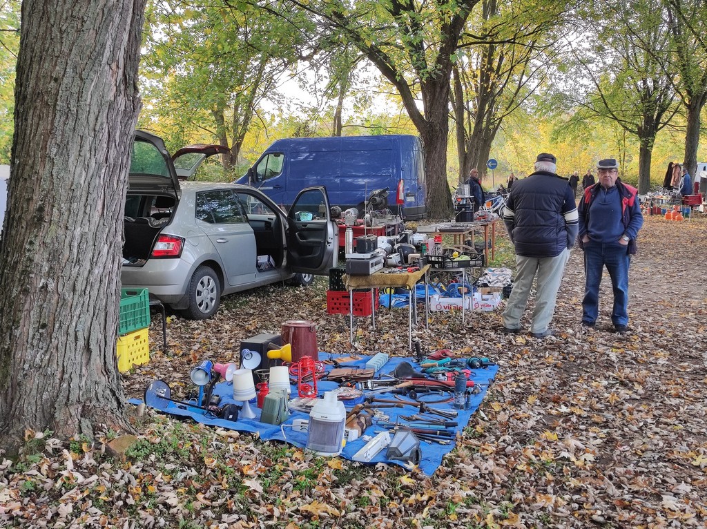 SAJAM SRIJEDOM Jeste li već probali meksički krastavac ili čajot?