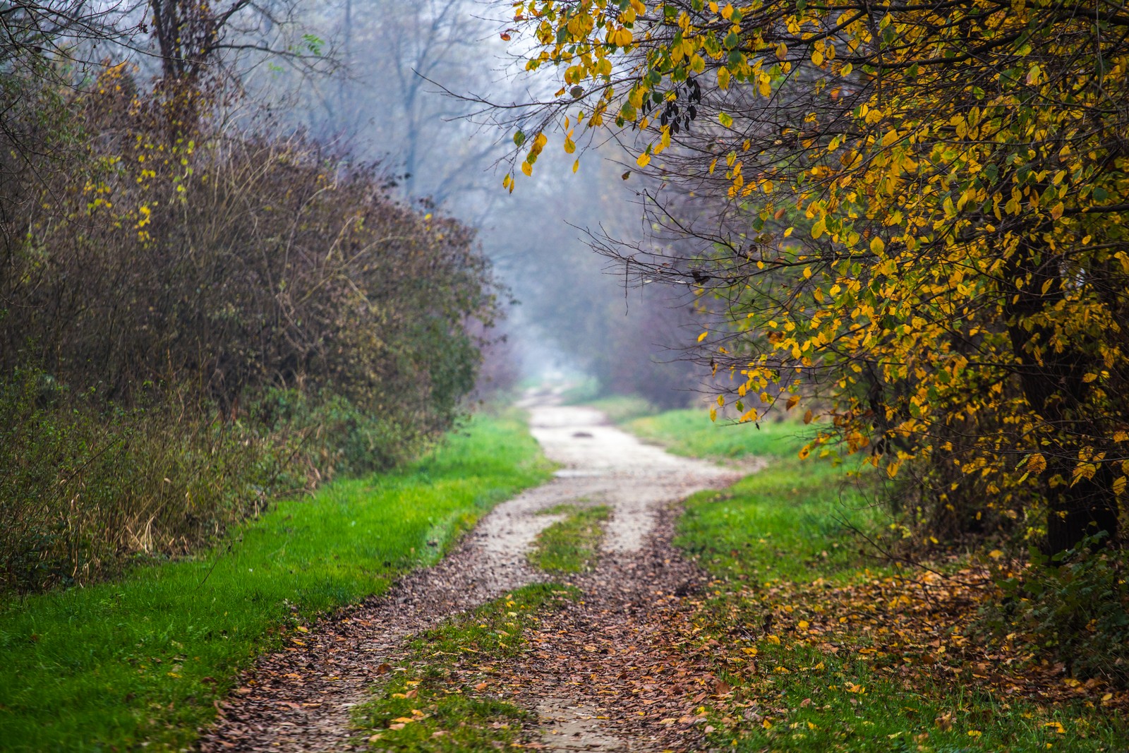 Međimurje se predalo jeseni