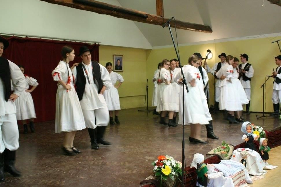 kuddonjividovec12510157