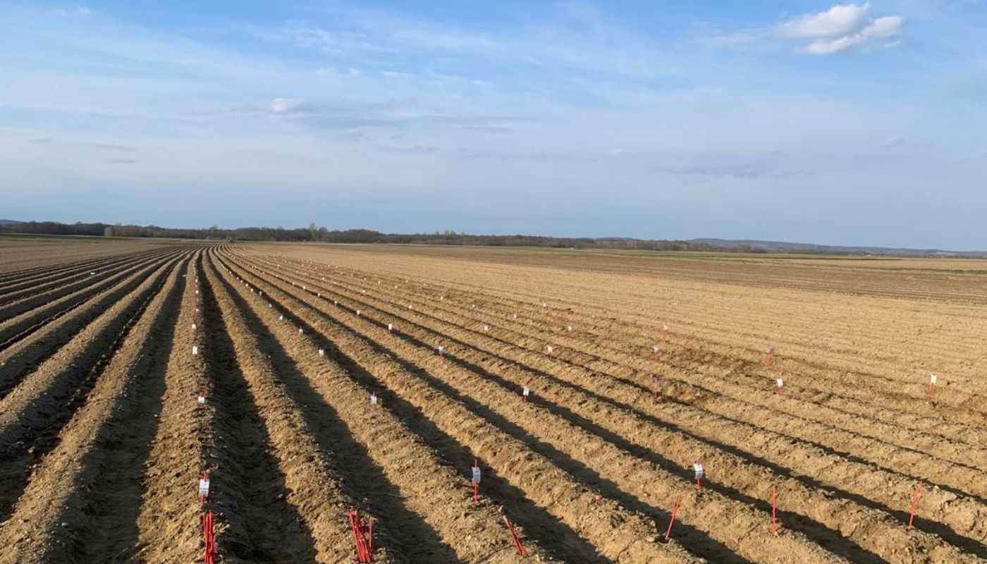 Tomislav Nikolina Filipović Tomislav Nikolina Filipović