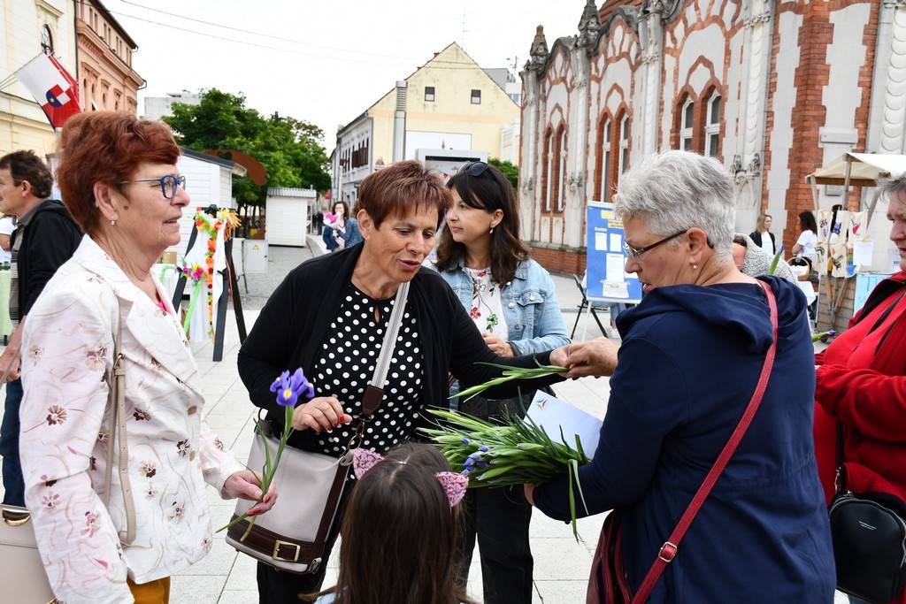 Dan plave vrpce Dan plave vrpce