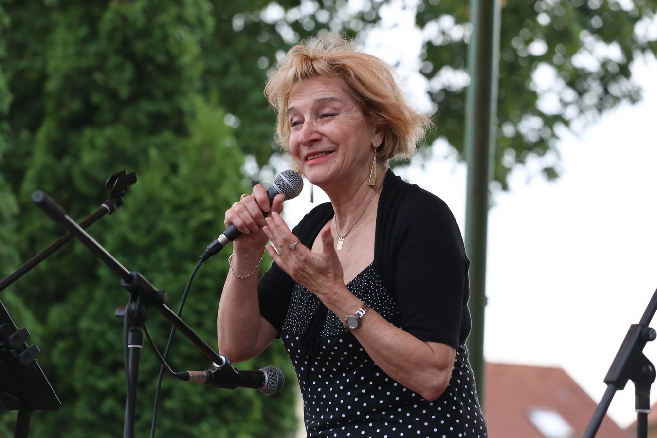 ZA MALU HRABRICU ‘Fijolina za Luku’ – veliki humanitarni koncert za Luku Lehkec u Pribislavcu