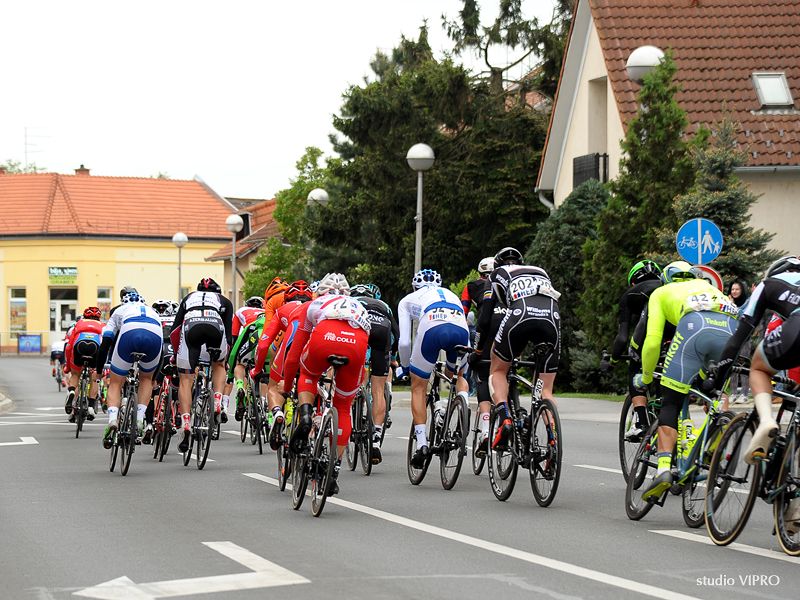 347015033dsc8973549063