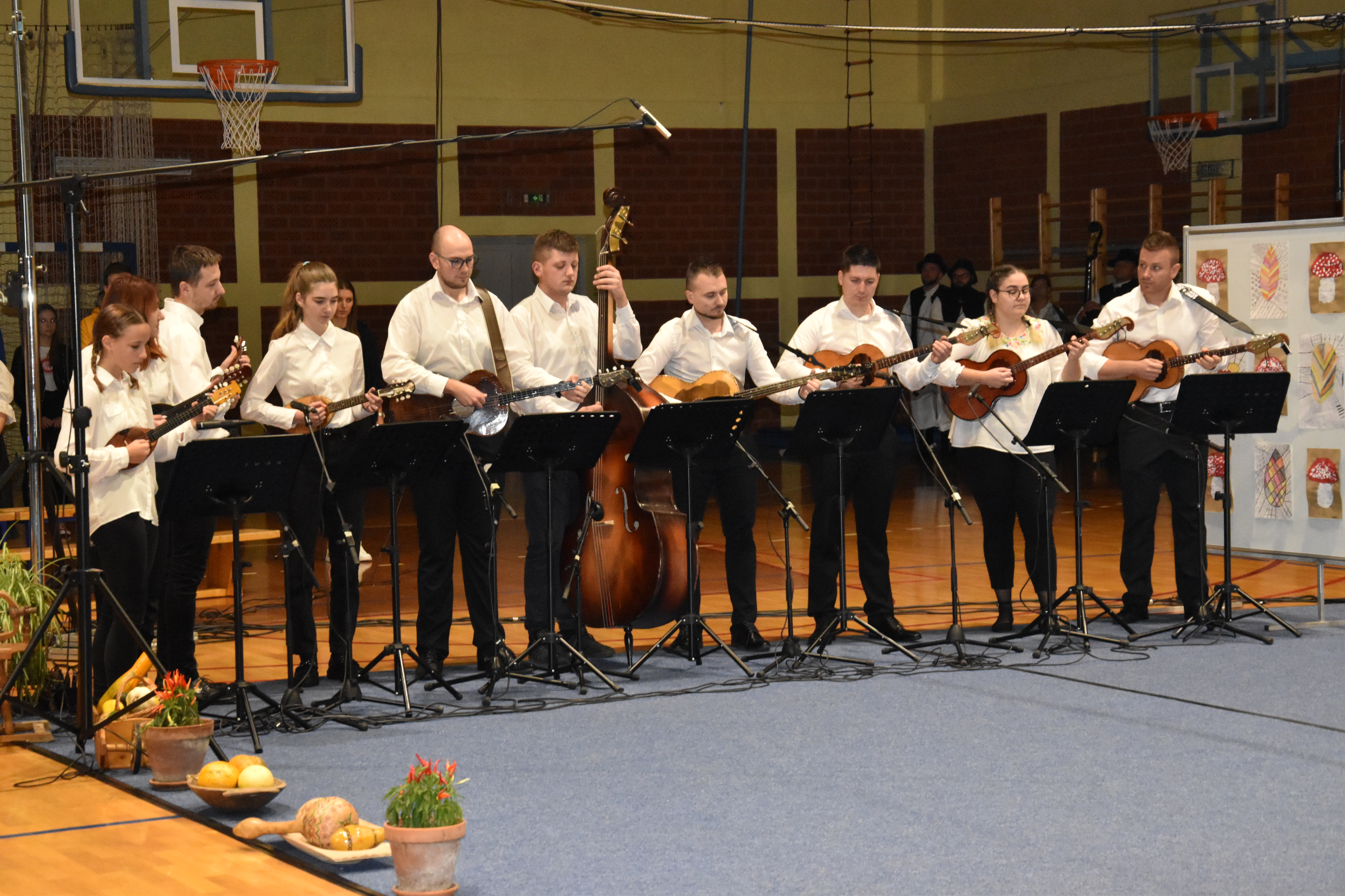 Smotra u Maloj Subotici