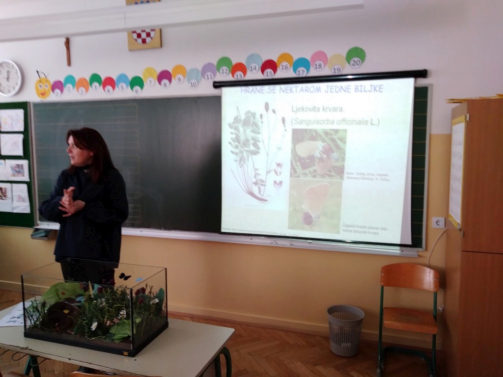 20180301120116826344